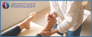 Art Of Massage, Orlando Jul 25, 2025